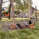 شقة Victorhof Landurlaub Deine Auszeit Im Gruenen, Umgeben Von Wald & Wiesen