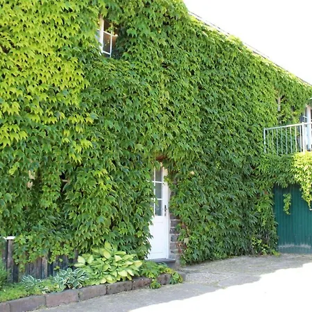 Victorhof Landurlaub Deine Auszeit Im Gruenen, Umgeben Von Wald & Wiesen *