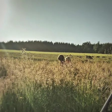 Victorhof Landurlaub Deine Auszeit Im Grünen, Umgeben Von Wald&wiesen * Monschau