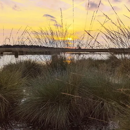 Victorhof Landurlaub Deine Auszeit Im Grünen, Umgeben Von Wald&wiesen