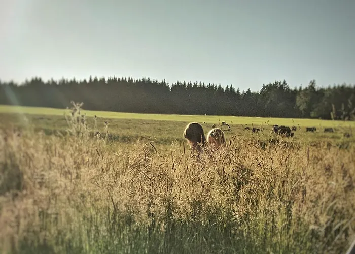 Victorhof Landurlaub Deine Auszeit Im Gruenen, Umgeben Von Wald & Wiesen * Моншау