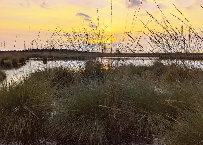 Victorhof Landurlaub Deine Auszeit Im Gruenen, Umgeben Von Wald & Wiesen