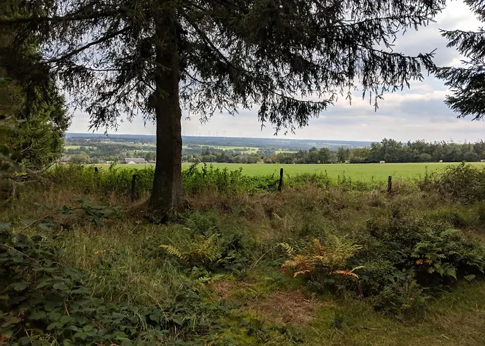 Апартаменты Victorhof Landurlaub Deine Auszeit Im Gruenen, Umgeben Von Wald & Wiesen *